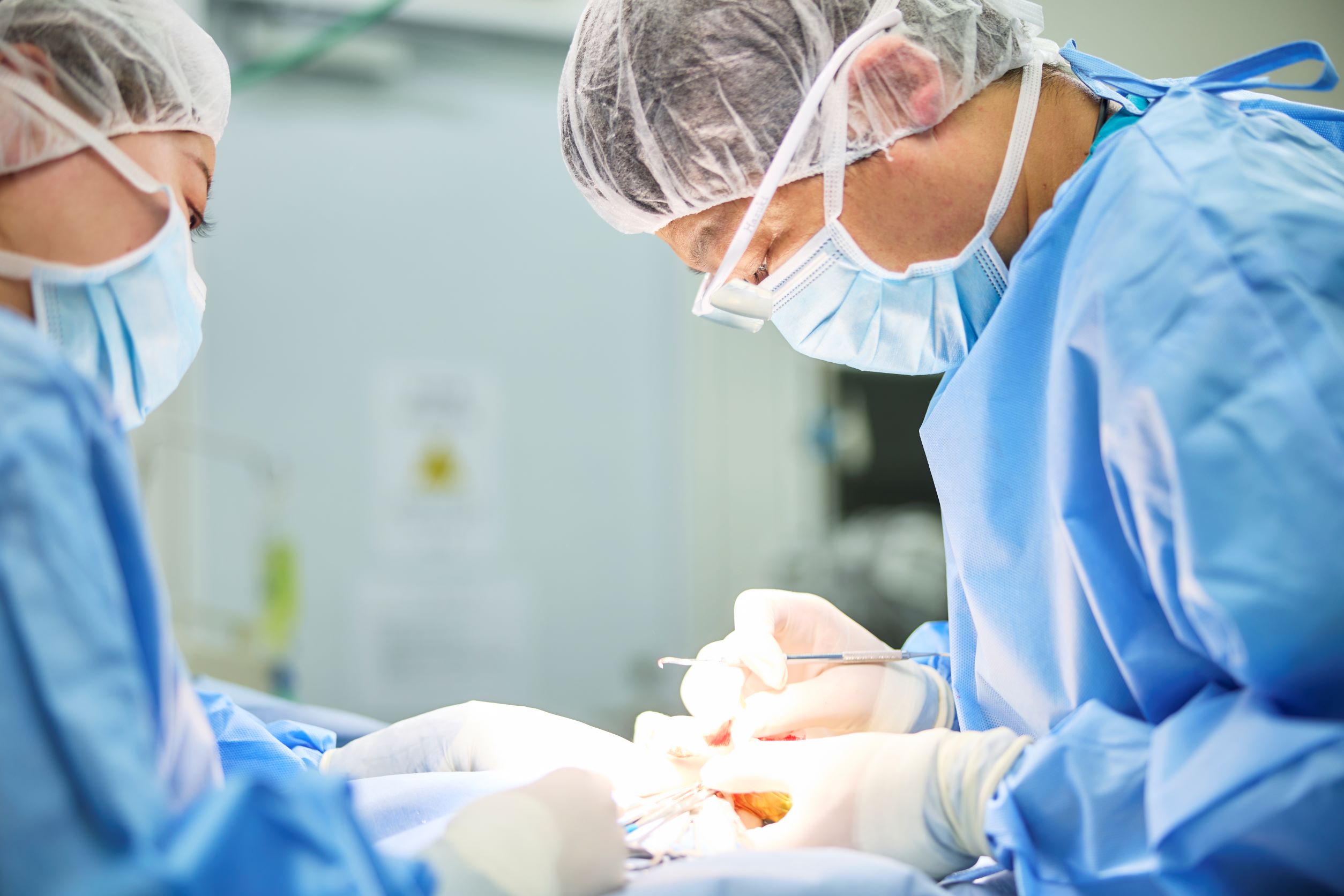 獣医師募集!【プリモ動物病院 練馬】