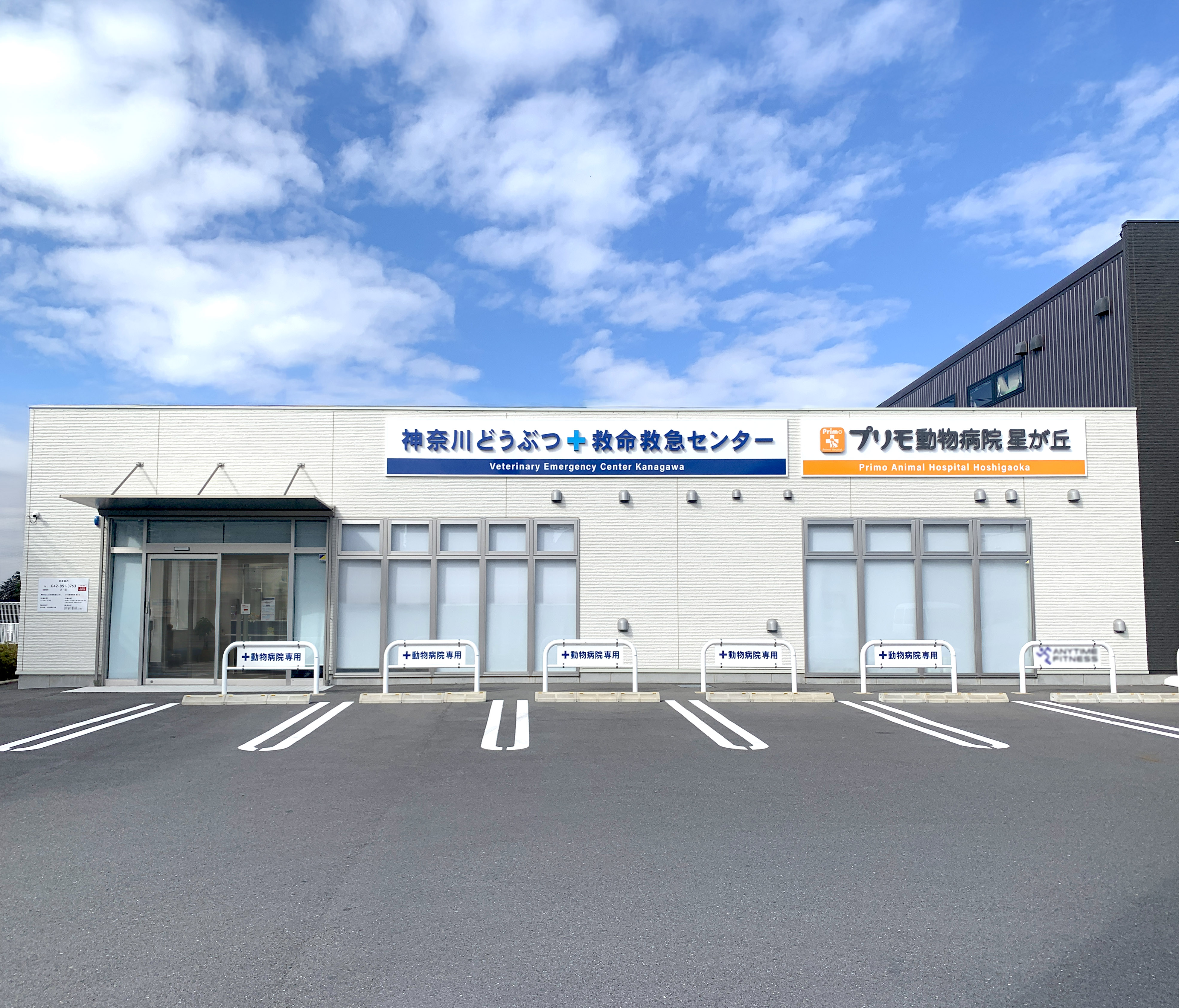 獣医師募集! プリモ動物病院 星ヶ丘